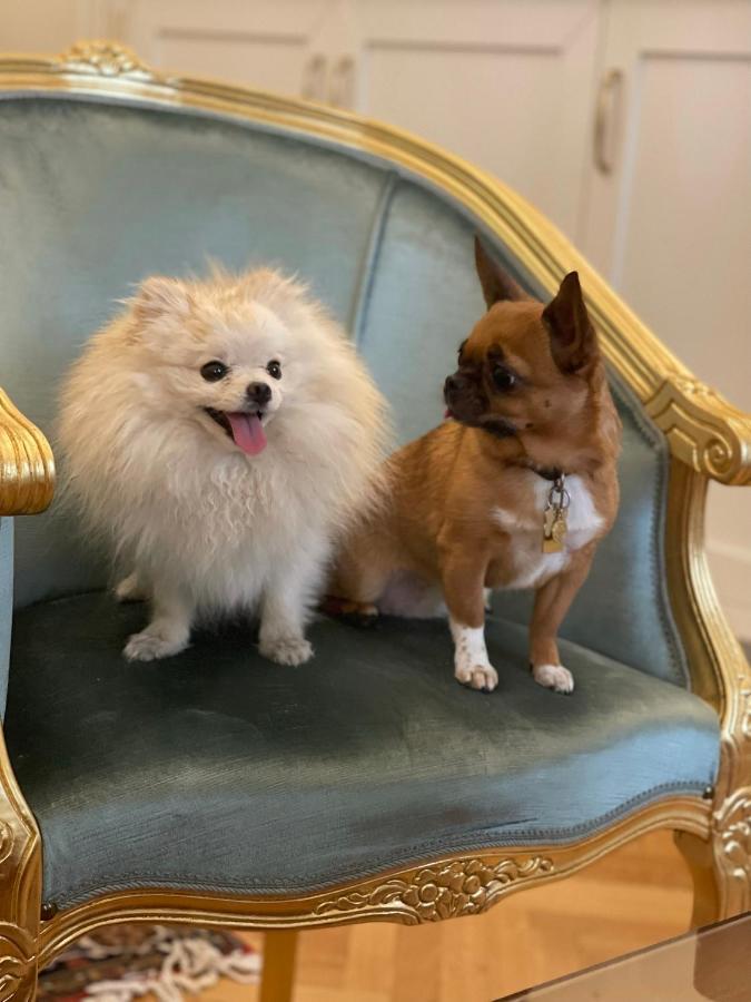 Palazzo Monga Boutique Guesthouse 维罗纳 外观 照片